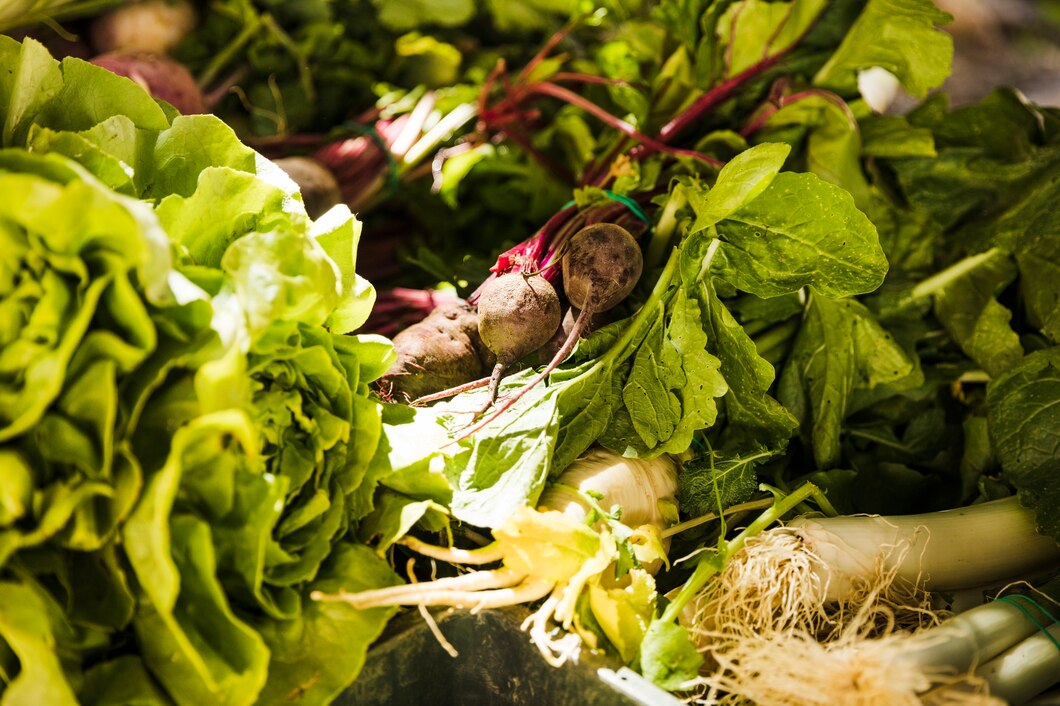 Czy ekologiczna uprawa warzyw jest trudniejsza? Rozwiązujemy mity i wątpliwości