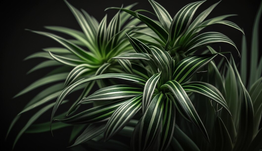 Czy warto inwestować w egzotyczne rośliny do swojego zielonego zakątka?